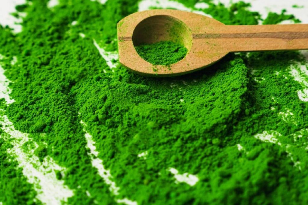 Spirulina Organic Fertilizer For Use In Agriculture for Better Yield