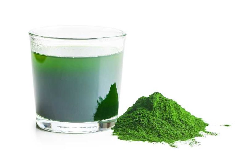 History of the natural vegan protein Spirulina